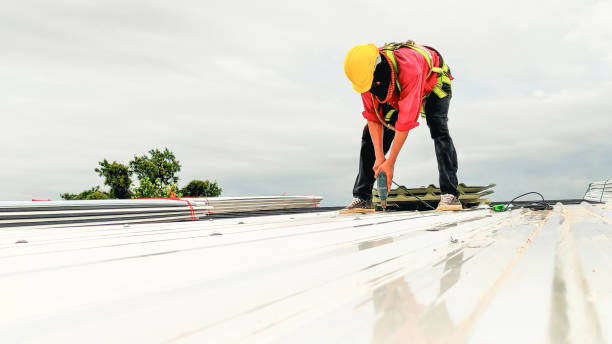 Best Asphalt Shingles Roofing  in Wendell, ID