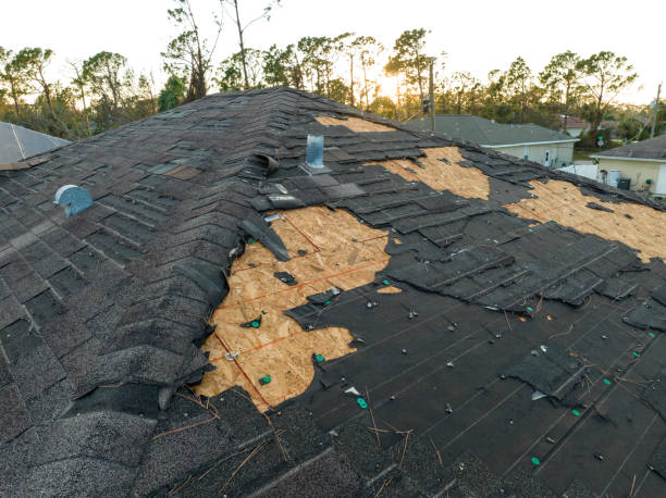 Best Roof Maintenance and Cleaning  in Wendell, ID